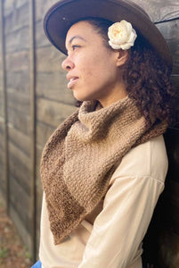 Eclecticity Shawl Kit