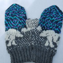 Load image into Gallery viewer, Northern Spirit Hat &amp; Mitten Kit