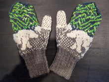 Load image into Gallery viewer, Northern Spirit Hat & Mitten Kit