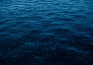 Into The Blue
